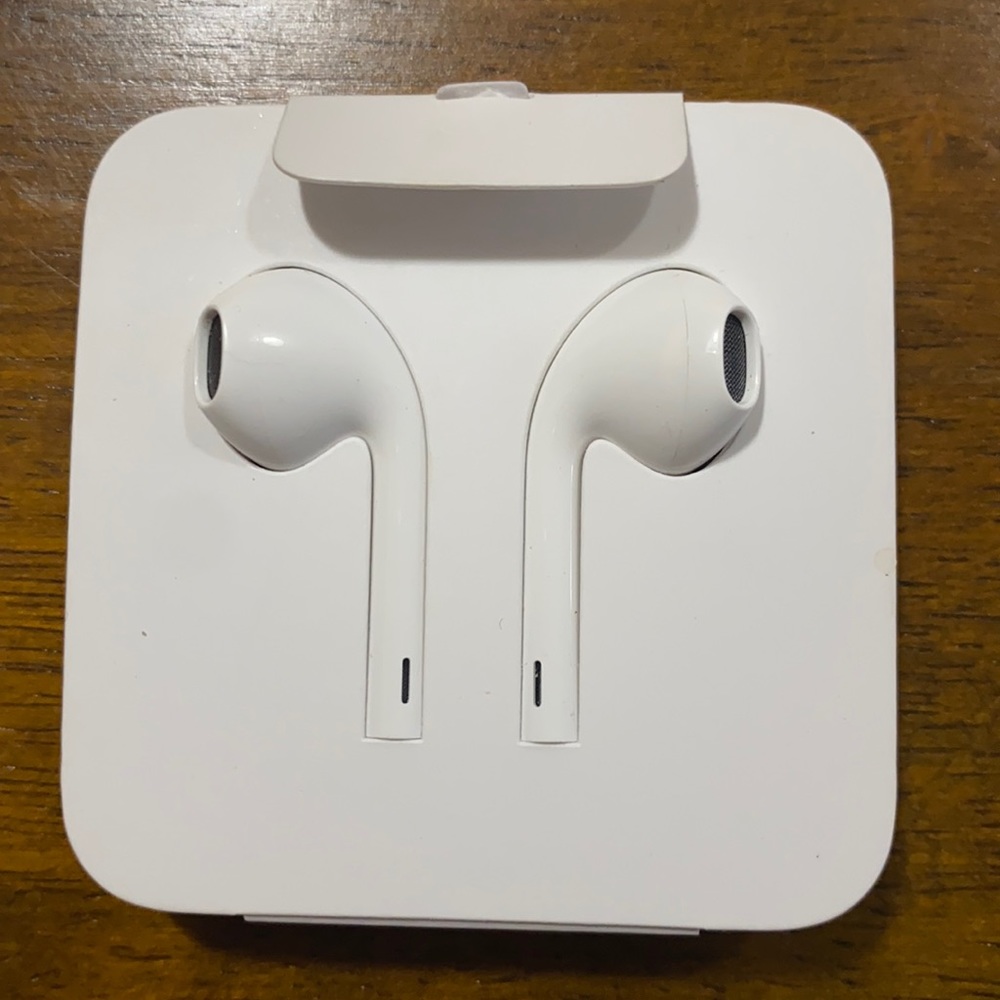 Apple Earphones